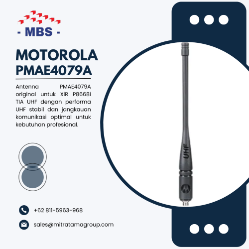 PMAE4079A